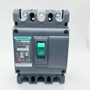 Aptomat khối, MCCB TGM1N-63L 3300 4300